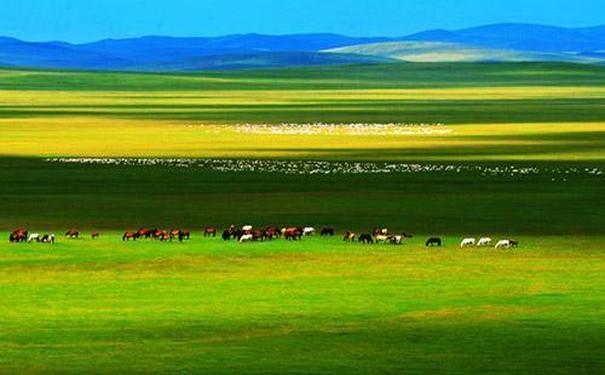 蒙古旅游作文500