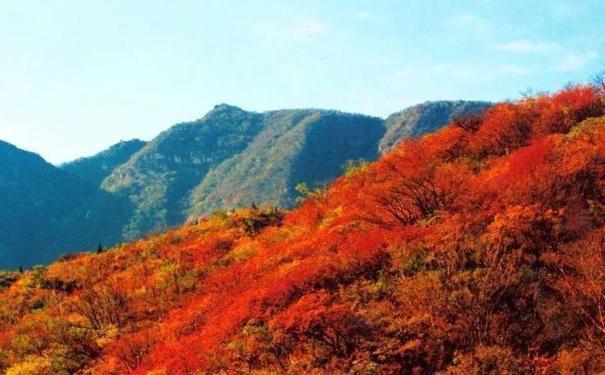 青海省部分主要山峰旅游景点地区海拔高度表