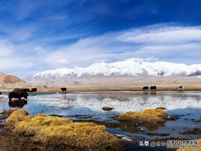 新疆的15个5A级景区，你去过几个？
