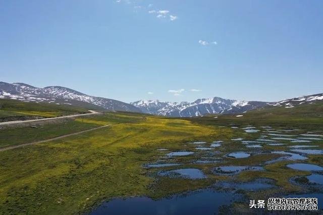 探索北疆最美自驾线路，做美景的“探路者”