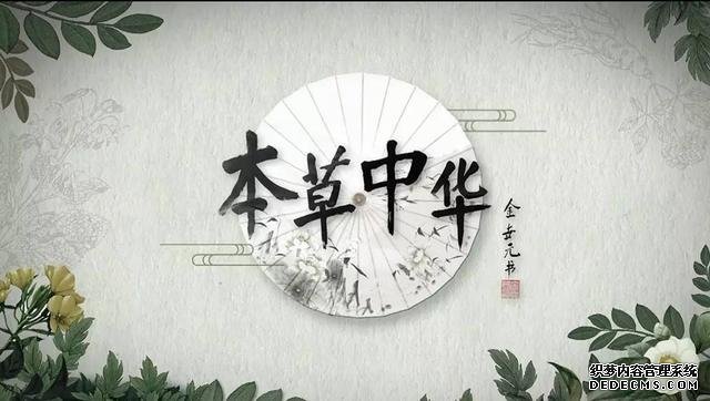 国庆节看这10部片子，让孩子认识中国、爱上中国