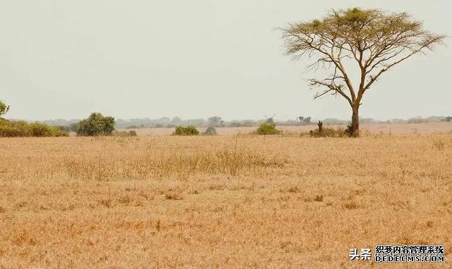 非洲“人间遗珠”，这6个鲜为人知的绝美自然景