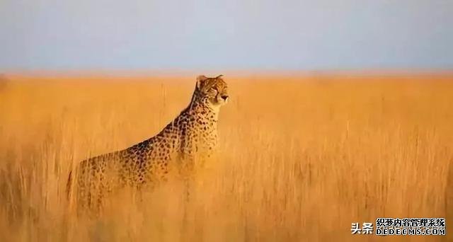 非洲“人间遗珠”，这6个鲜为人知的绝美自然景