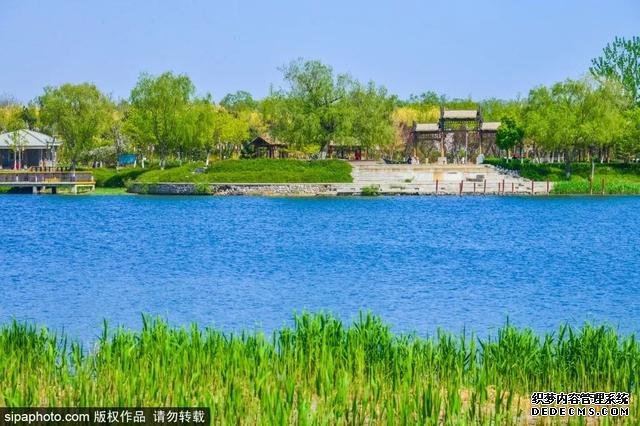 春日户外露营，北京这些地方值得去