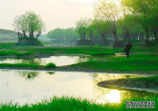 王维笔下的田园风光，像一幅优美的风景画，美