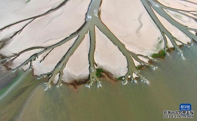 水位持续下降 鄱阳湖现“大地之树”自然景观现