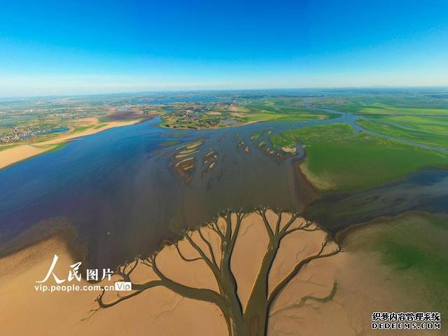 大旱鄱阳湖现“大地之树”自然景观