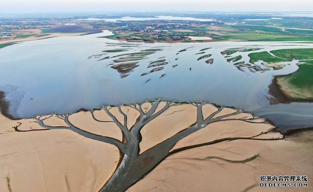 （环境）水位持续下降 鄱阳湖现“大地之树”自