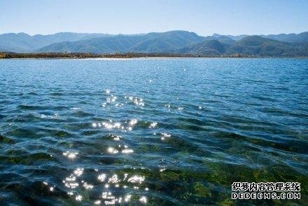 泸沽湖的海藻花开啦！美到冒仙气的泸沽湖，一